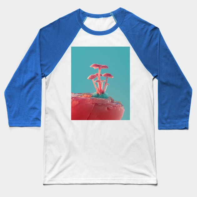 Mushrooms Baseball T-Shirt by NineSidedShape